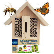 Kit Biodiversidade especial polinizadores